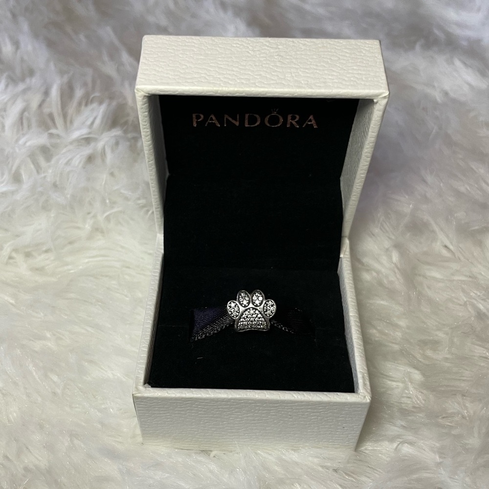 Paw Print Pandora Charm